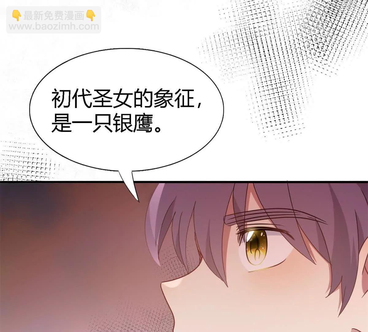 第166话 圣女的象征（下）(1/2)-第167话