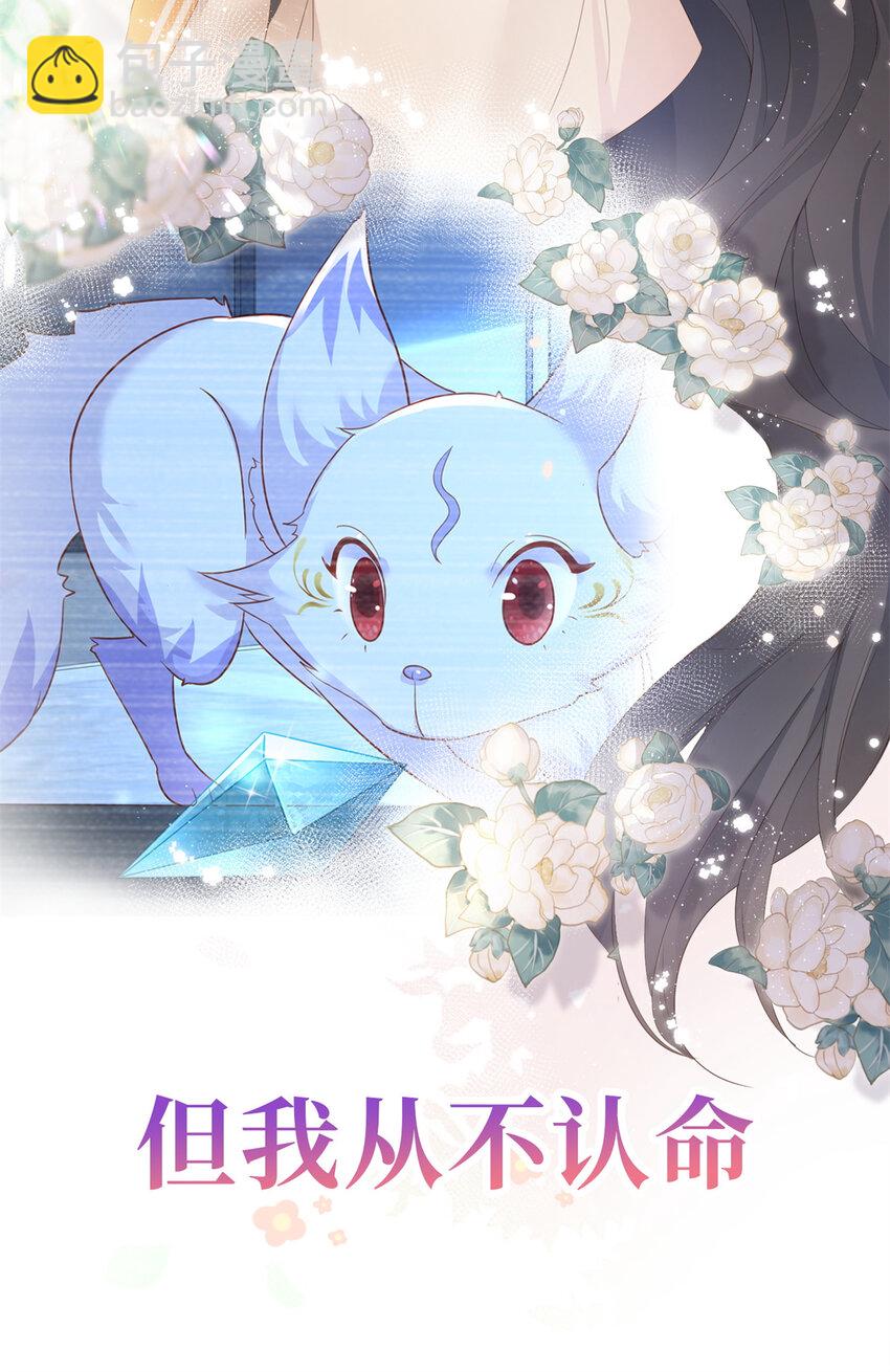 预告 预告-第1话