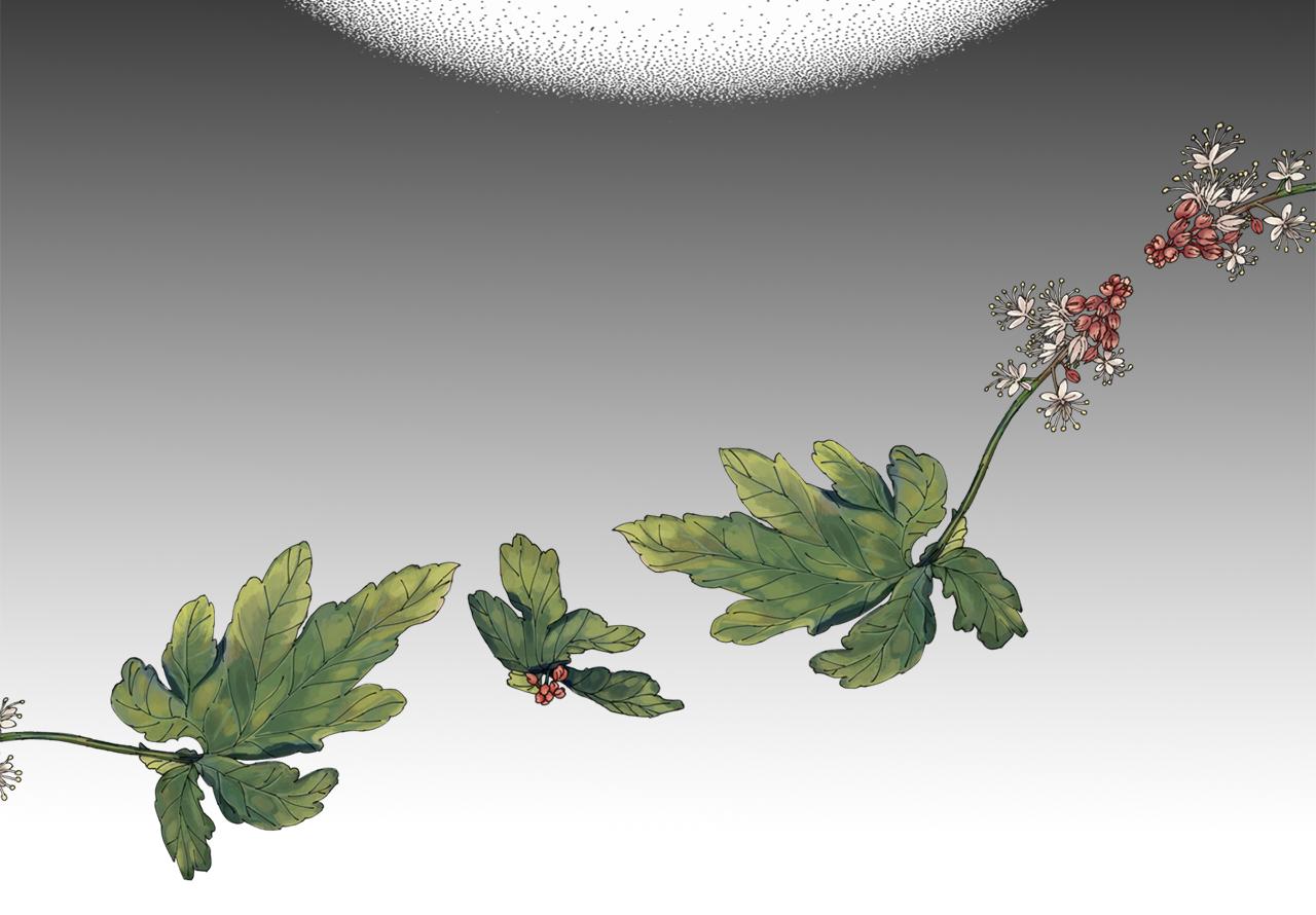 殺手靈魂公主身 - 第1季完結話 同居吧(2/4) - 8