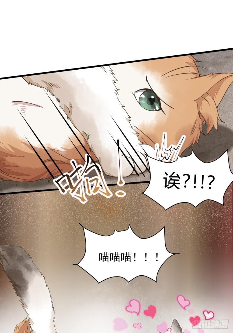 35-寻找肉身-第37话