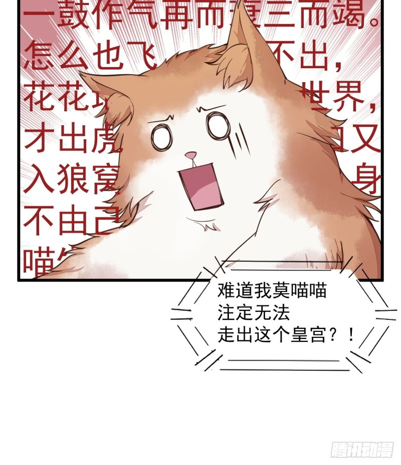 35-寻找肉身-第37话