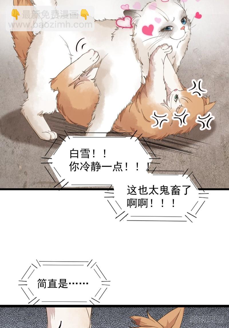 35-寻找肉身-第37话