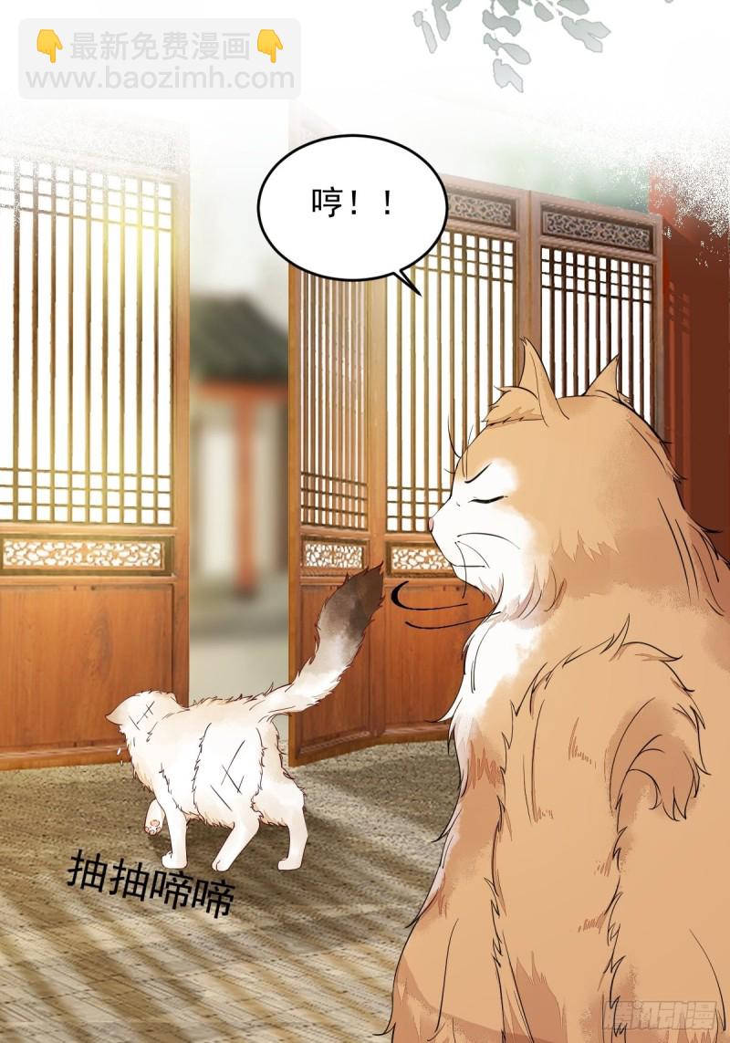 35-寻找肉身-第37话