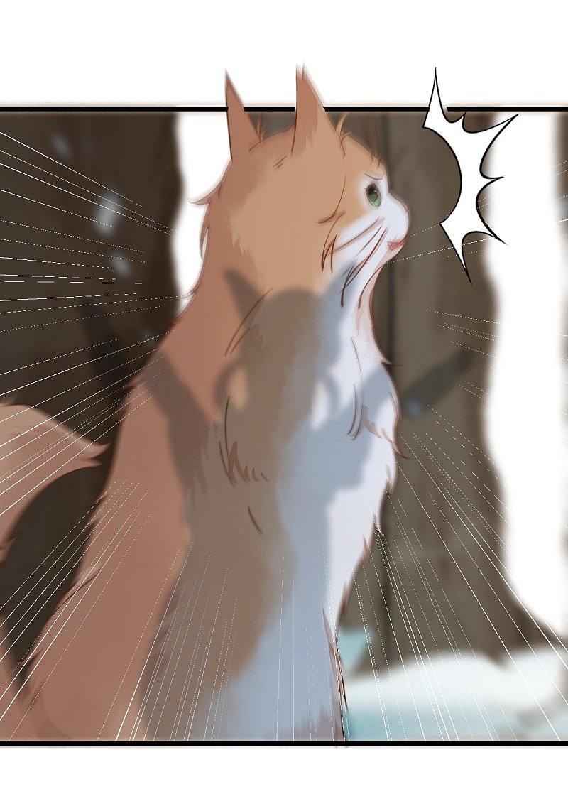 57-她是我的猫-第61话