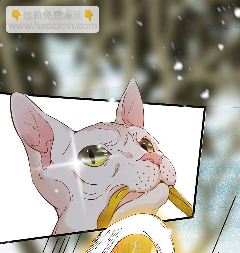 57-她是我的猫-第61话