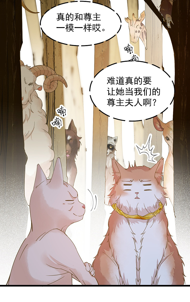 57-她是我的猫-第61话