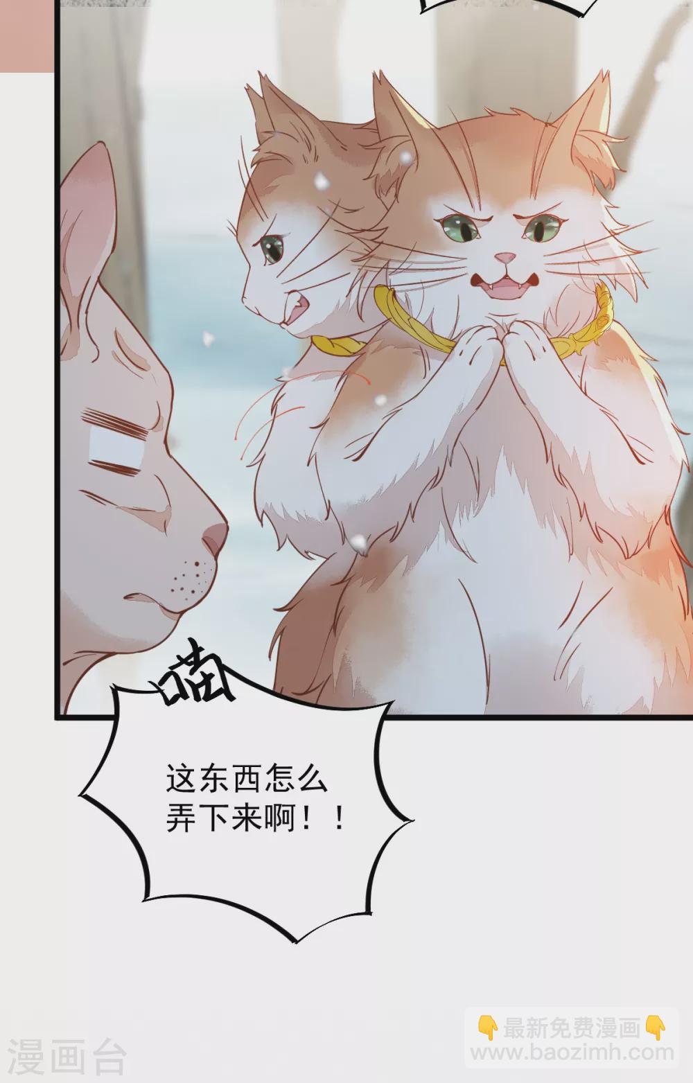 杀手王妃不好惹 - 第57话 她是我的猫 - 4