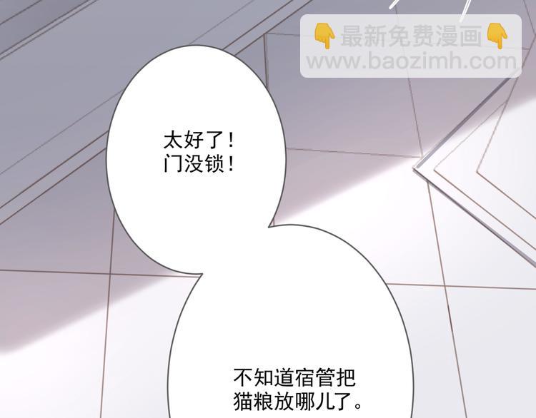 第13话 猫主人何在！(1/2)-第13话