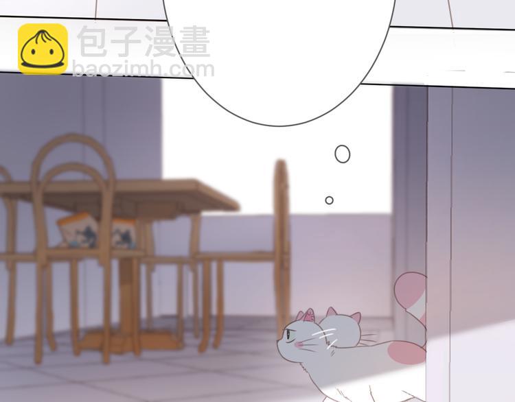 第13话 猫主人何在！(1/2)-第13话