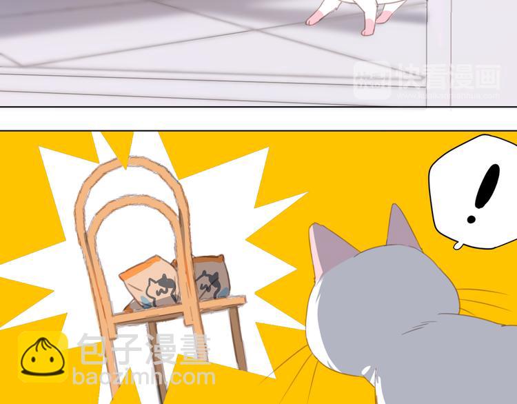 第13话 猫主人何在！(1/2)-第13话