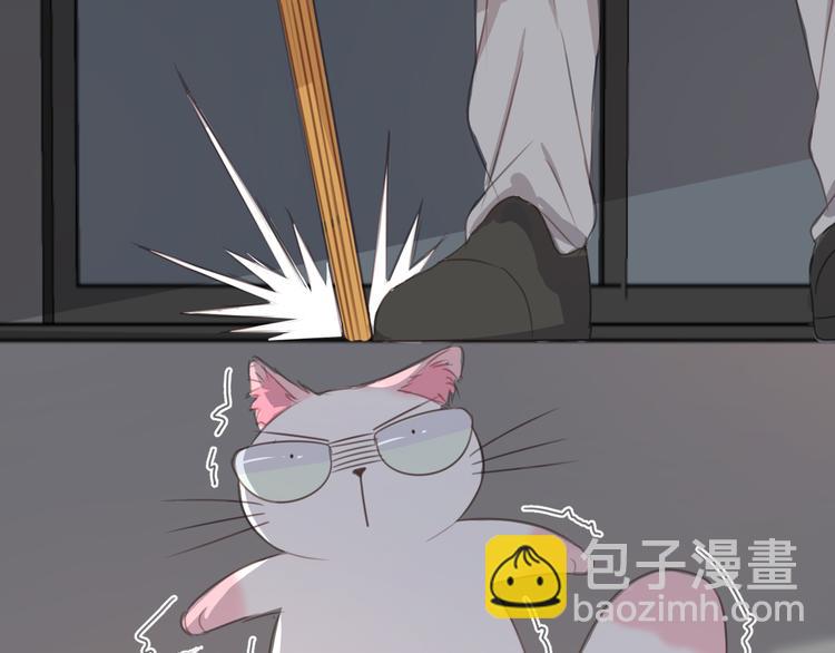 第13话 猫主人何在！(1/2)-第13话