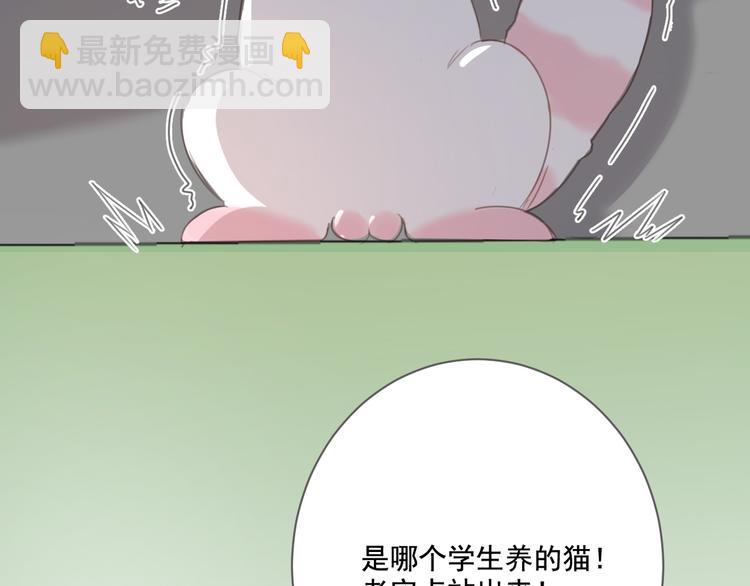 第13话 猫主人何在！(1/2)-第13话