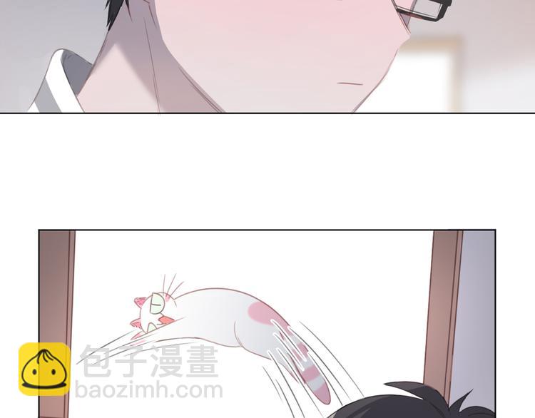 第13话 猫主人何在！(1/2)-第13话