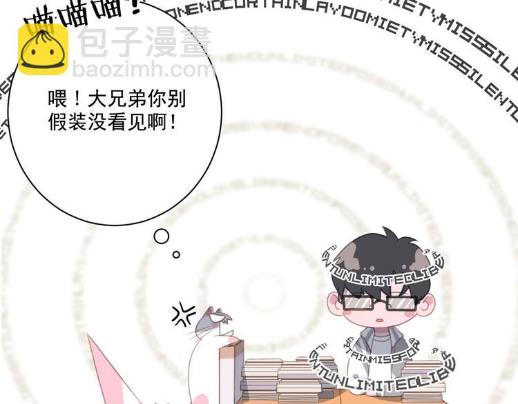 第13话 猫主人何在！(1/2)-第13话