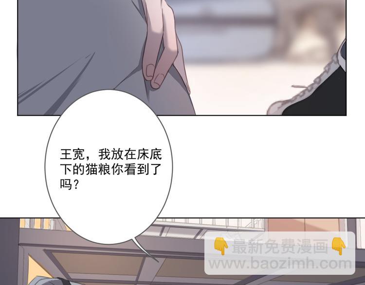 第13话 猫主人何在！(1/2)-第13话