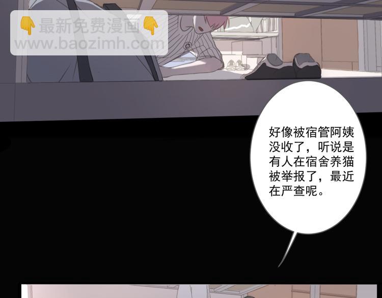 第13话 猫主人何在！(1/2)-第13话