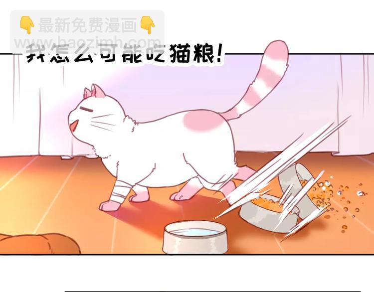 第2+3话 猫奴主人的甜蜜陷阱(1/4)-第3话
