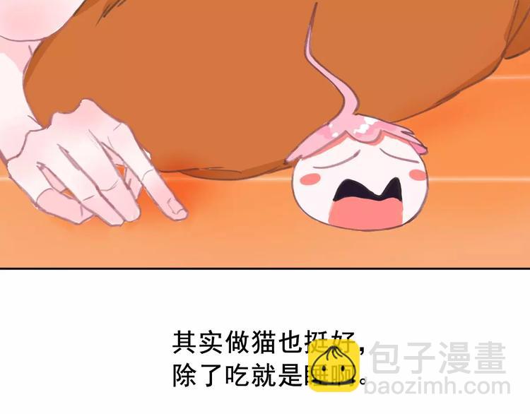 第2+3话 猫奴主人的甜蜜陷阱(1/4)-第3话