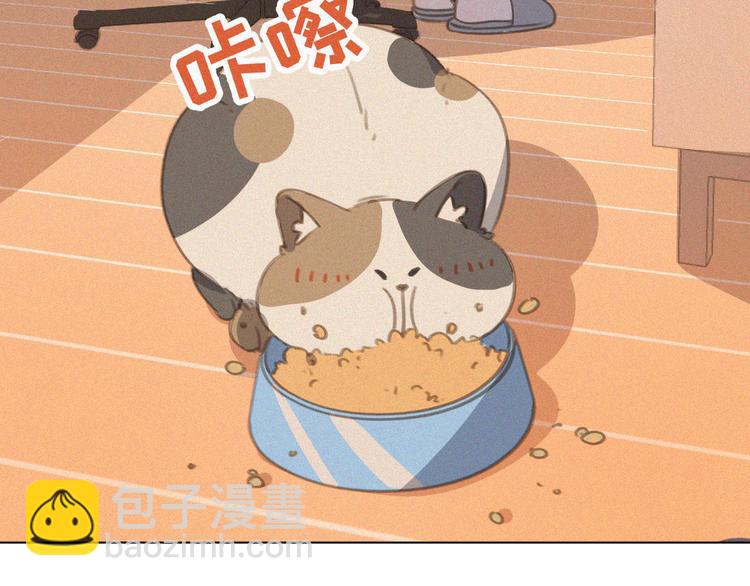 第34话 与猫争宠(1/2)-第35话