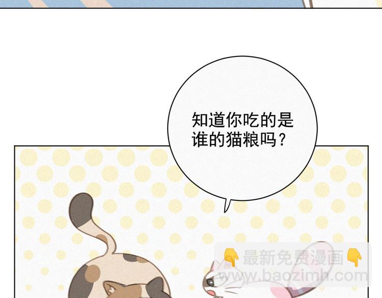 第34话 与猫争宠(1/2)-第35话
