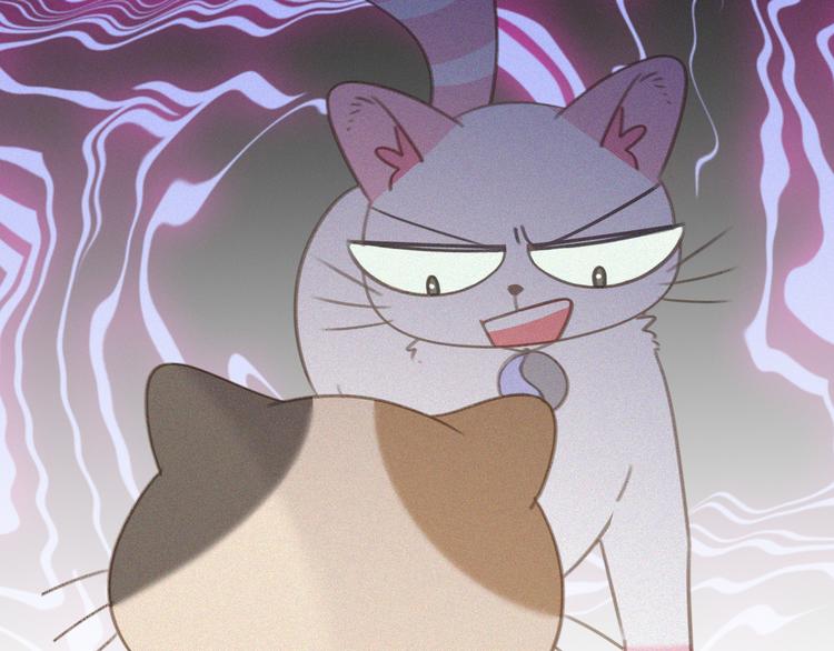 第34话 与猫争宠(1/2)-第35话