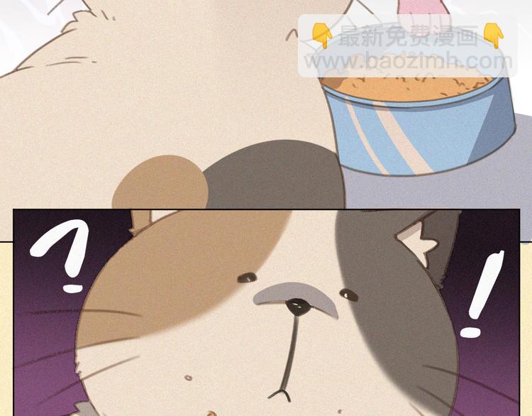 第34话 与猫争宠(1/2)-第35话