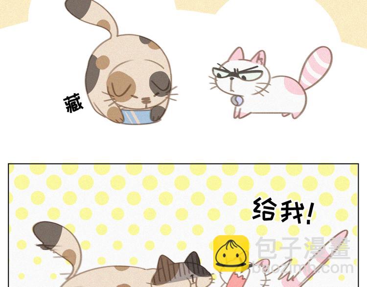 第34话 与猫争宠(1/2)-第35话