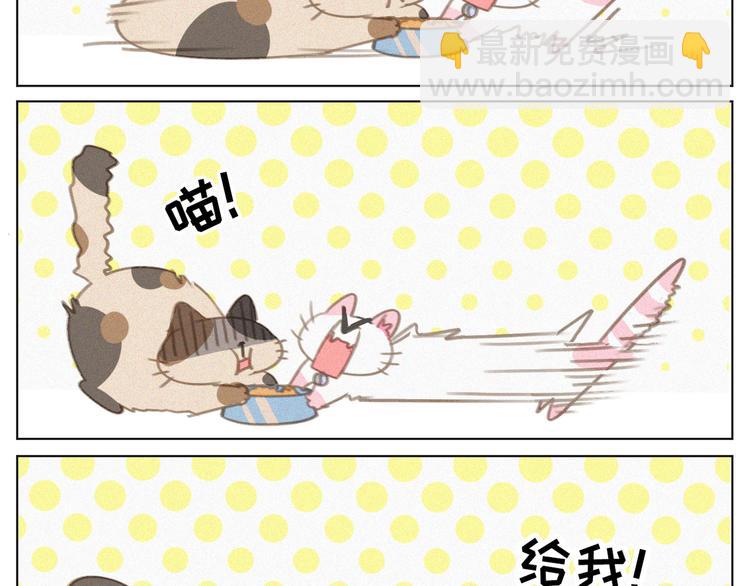 第34话 与猫争宠(1/2)-第35话