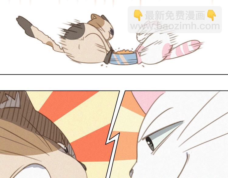 第34话 与猫争宠(1/2)-第35话