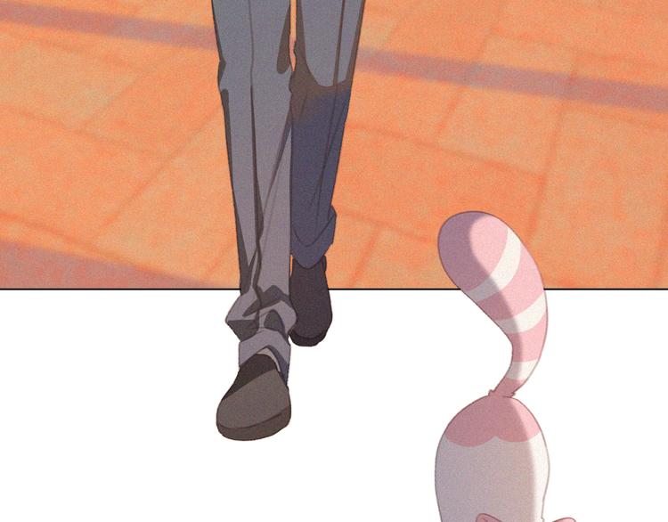 第34话 与猫争宠(1/2)-第35话