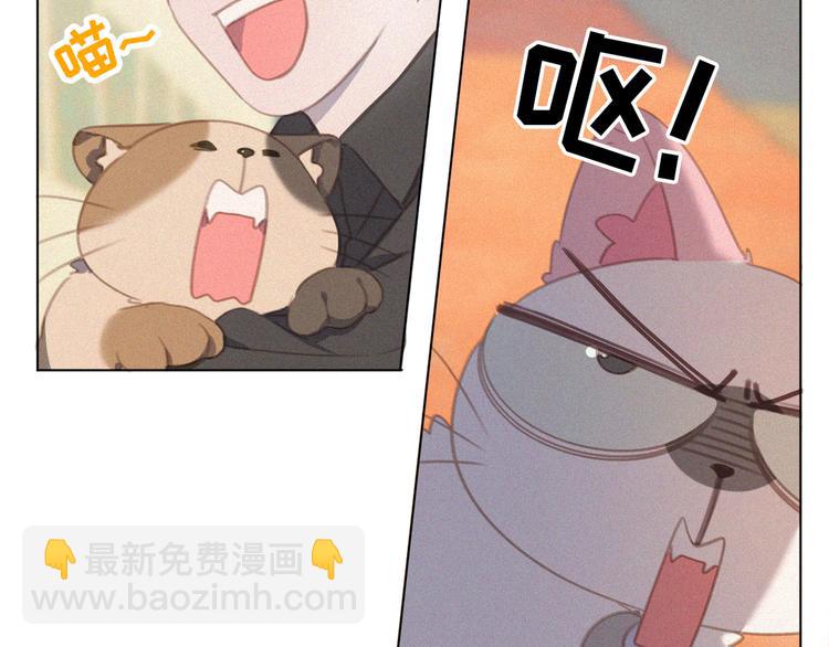 第34话 与猫争宠(1/2)-第35话