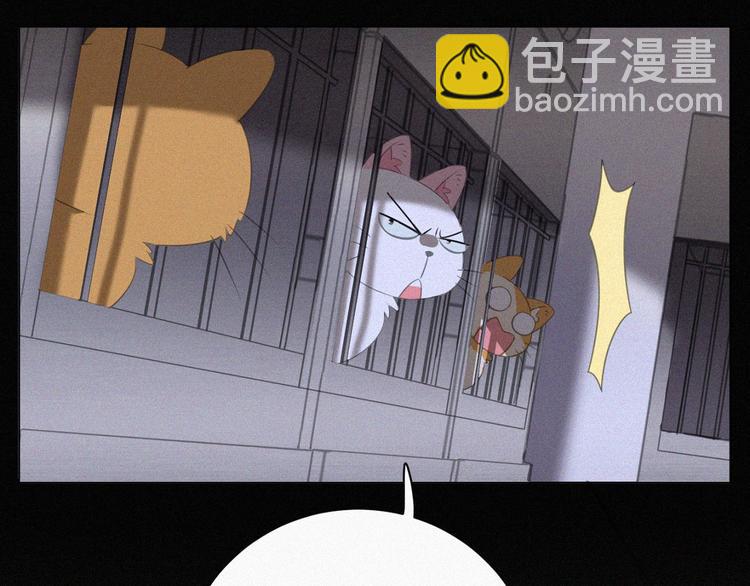 第36话 逃出生天(1/2)-第37话