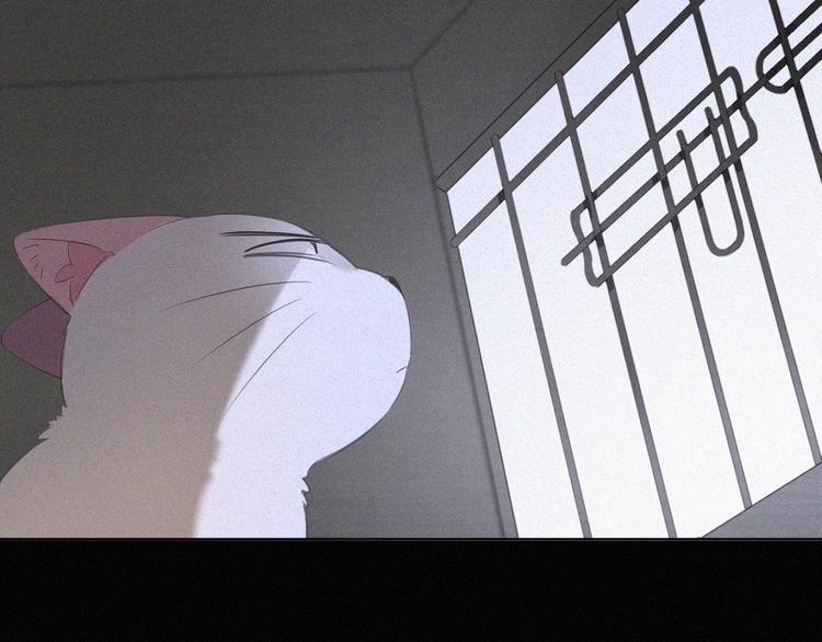 第36话 逃出生天(1/2)-第37话