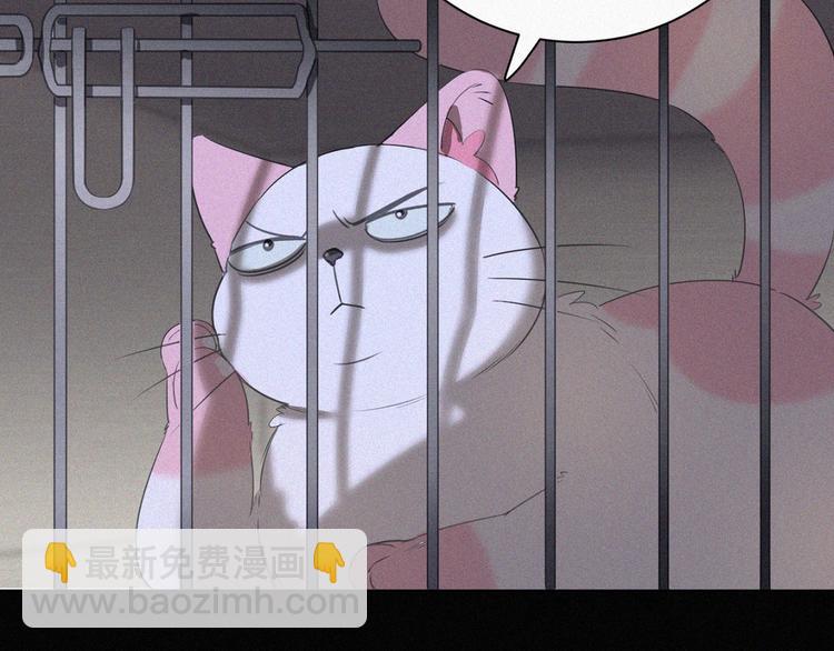 第36话 逃出生天(1/2)-第37话