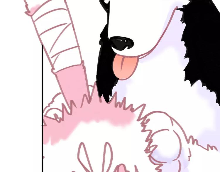 第5话 好喵不跟狗斗！(1/2)-第5话