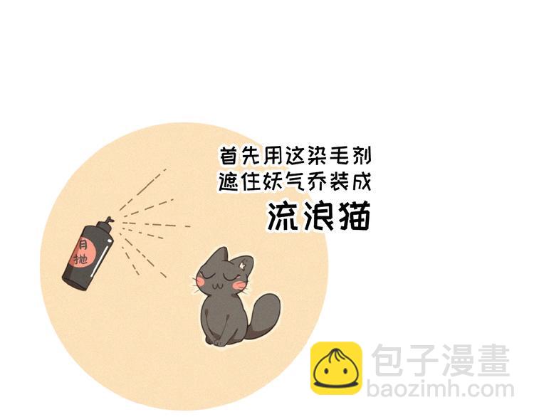 第34话 死缠烂打的小猫咪(1/2)-第77话