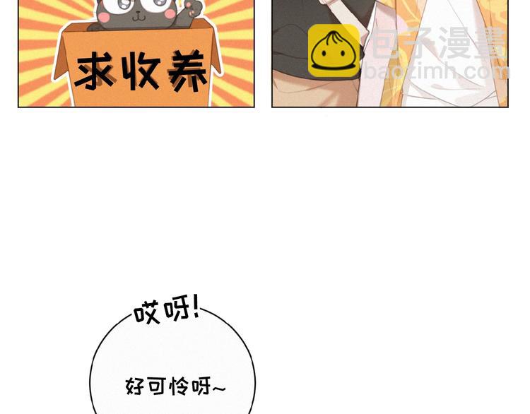 第34话 死缠烂打的小猫咪(1/2)-第77话