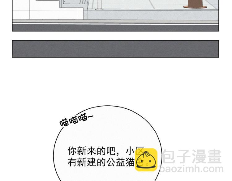 第34话 死缠烂打的小猫咪(1/2)-第77话