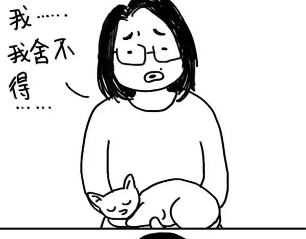 第51话 上课睡觉-第51话