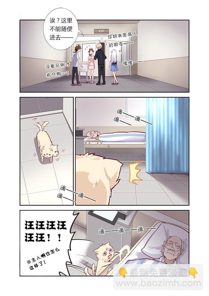 40.跌宕起伏-第41话