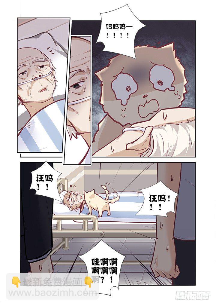 40.跌宕起伏-第41话