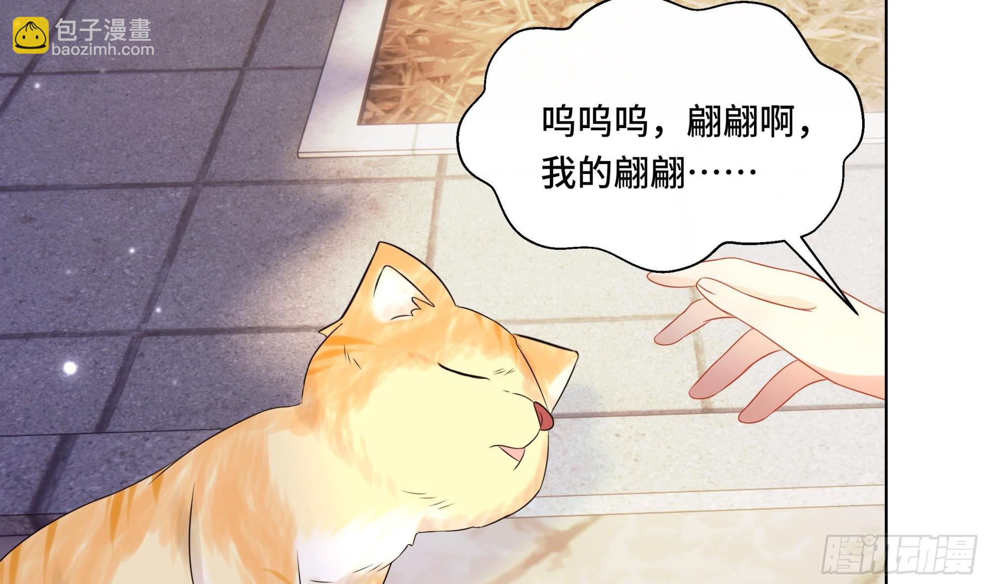 第34话 是行动派！(1/2)-第35话