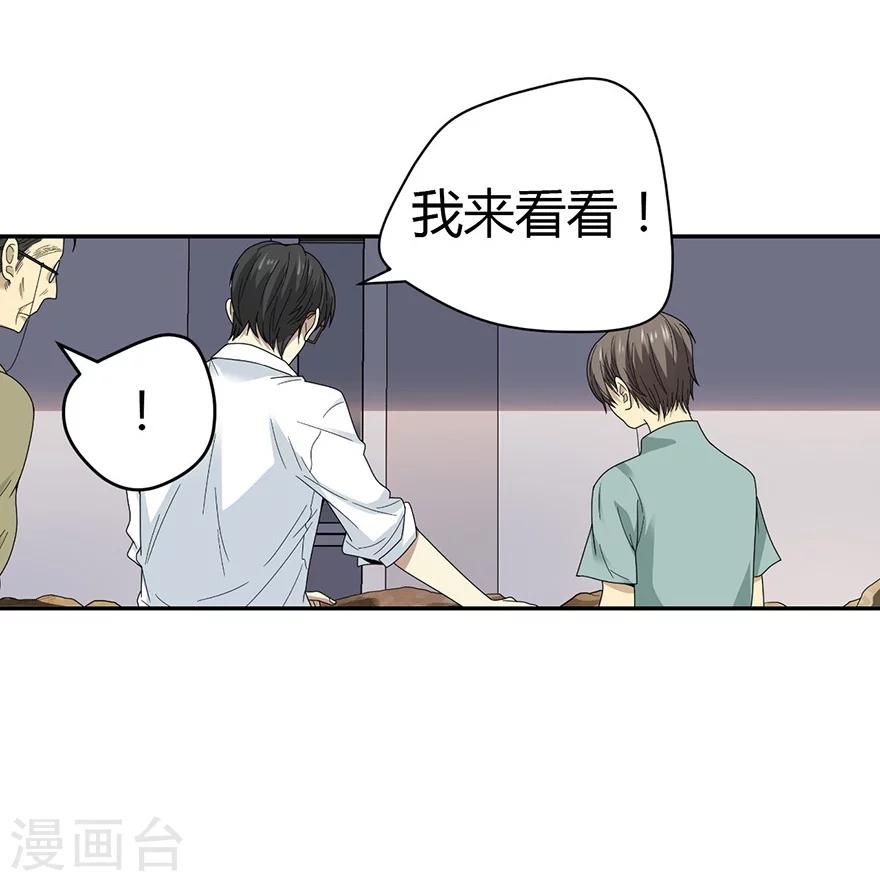 第37话 价值一亿的玉石(1/2)-第41话