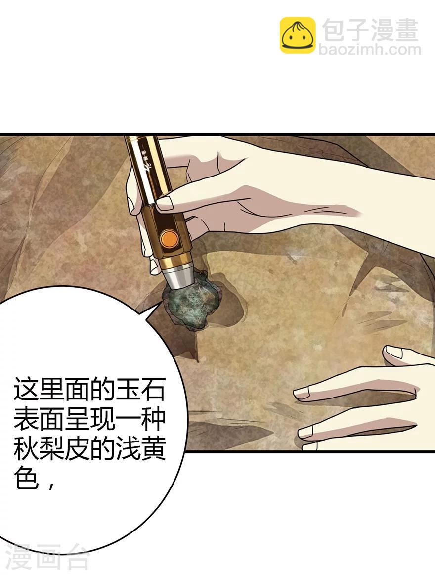 第37话 价值一亿的玉石(1/2)-第41话