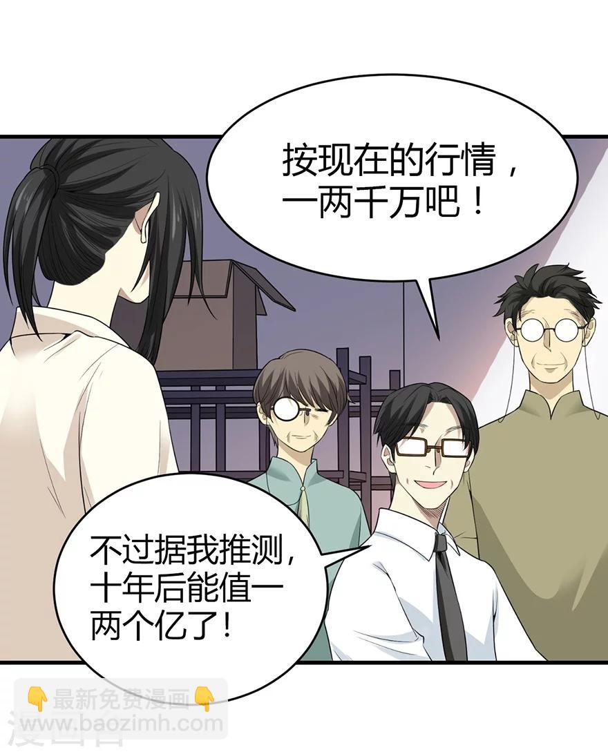 第37话 价值一亿的玉石(1/2)-第41话