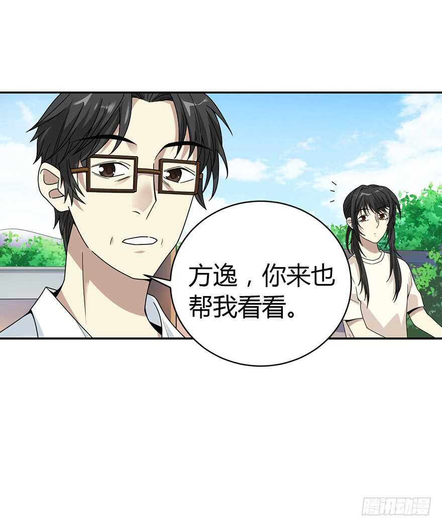 47 赌树（上）(1/2)-第49话