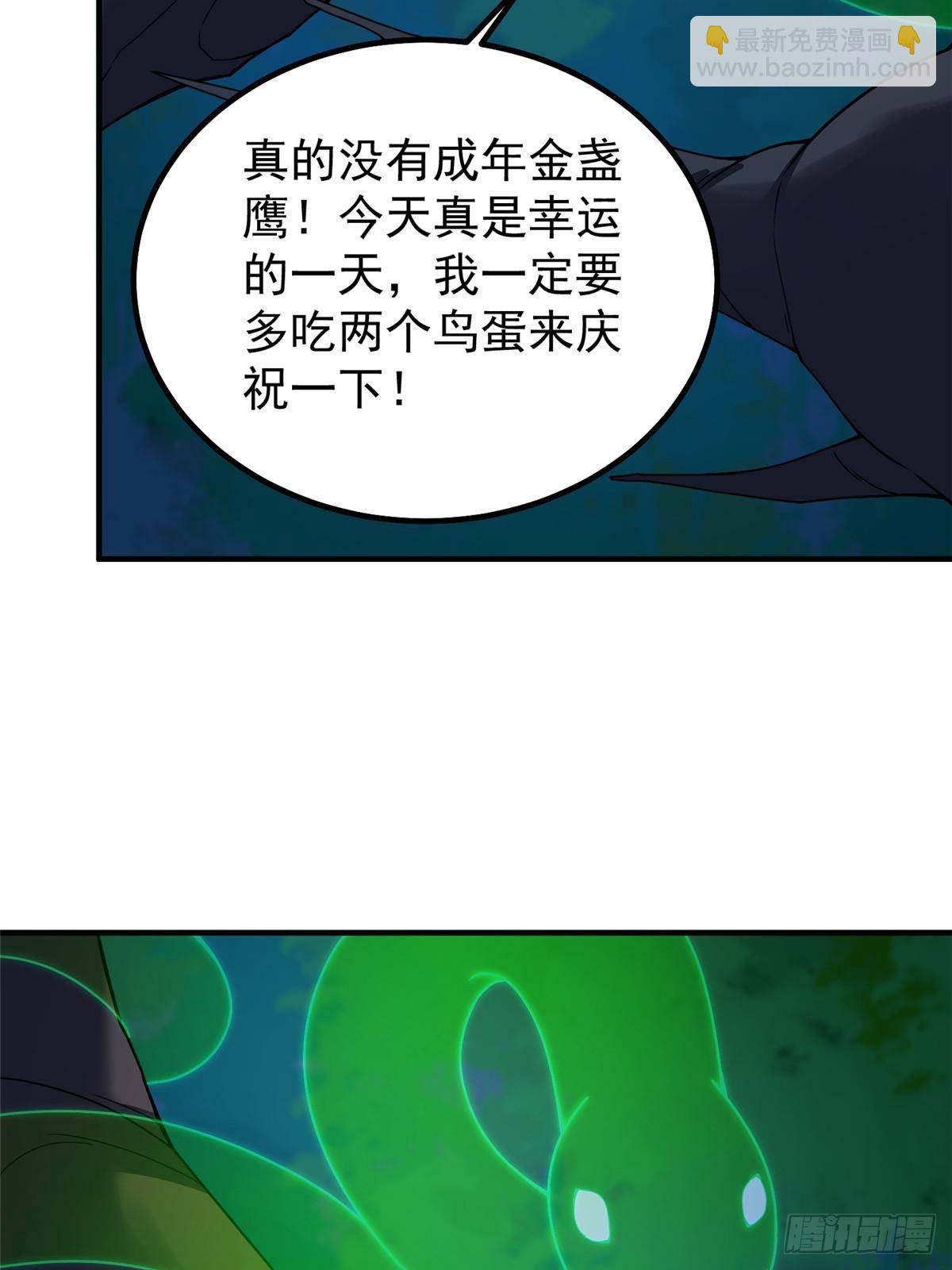 55.jpg