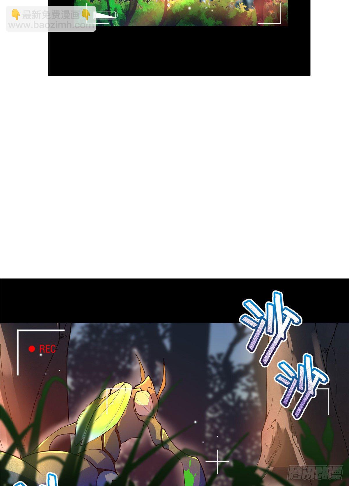 27.jpg