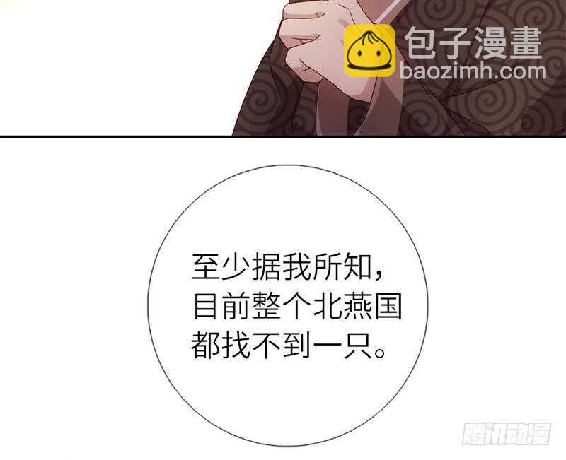 神廚狂後 - 第52話 三尾靈貓(1/2) - 6