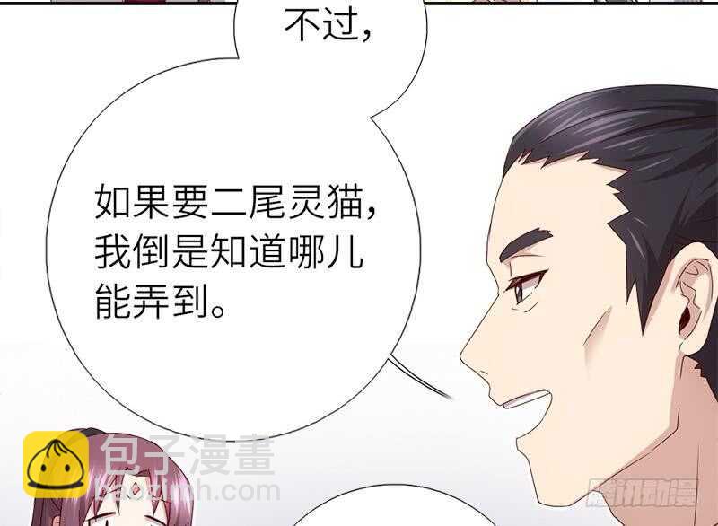 神廚狂後 - 第52話 三尾靈貓(1/2) - 8